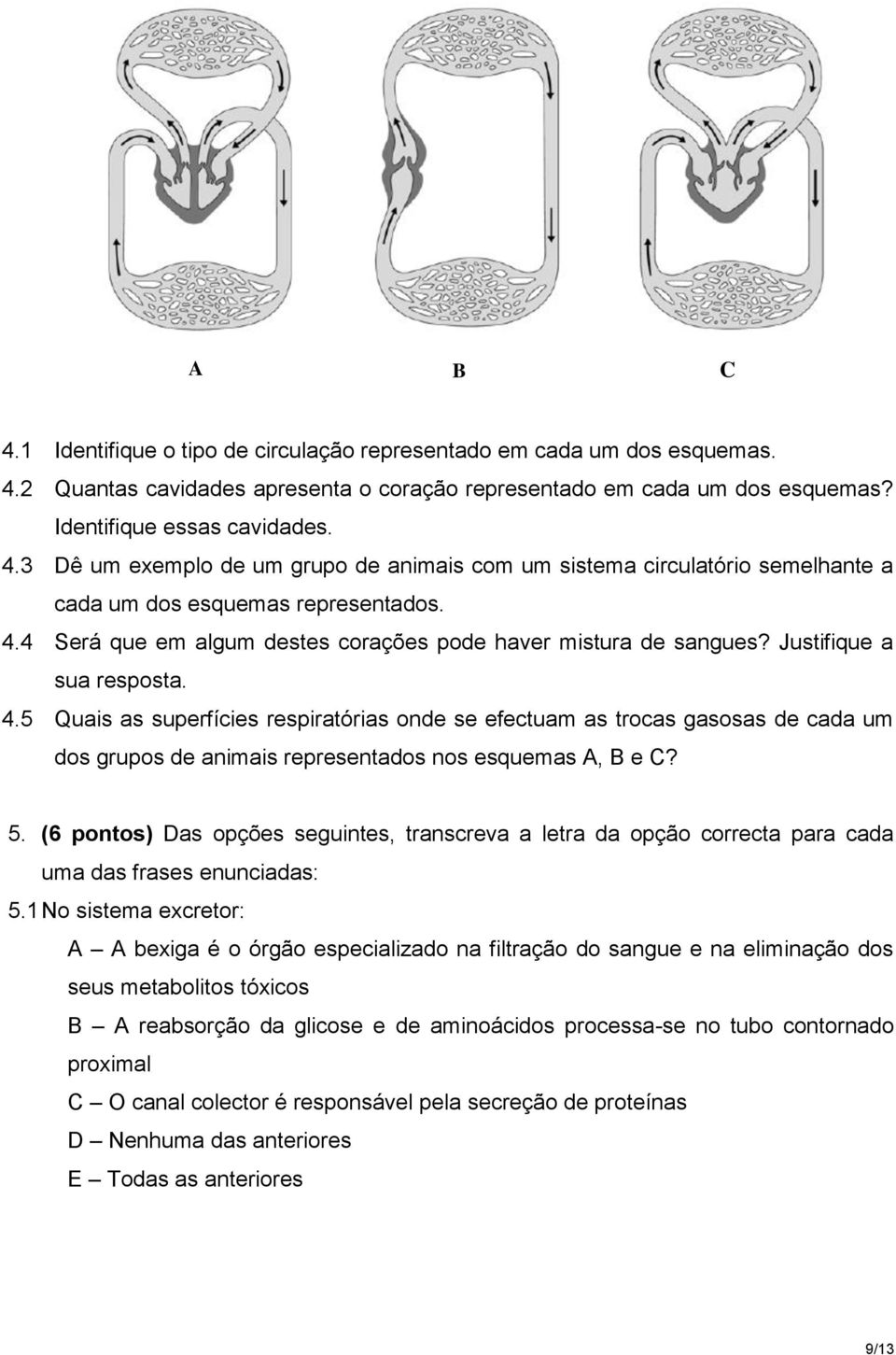 5 Quais as superfícies respiratórias onde se efectuam as trocas gasosas de cada um dos grupos de animais representados nos esquemas A, B e C? 5.