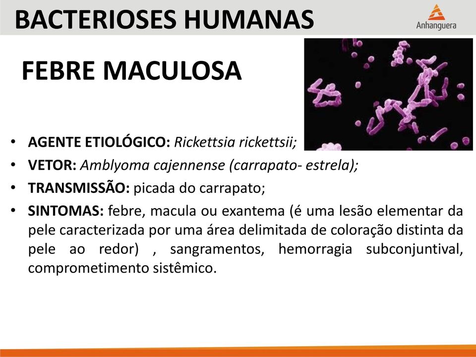 exantema (é uma lesão elementar da pele caracterizada por uma área delimitada de