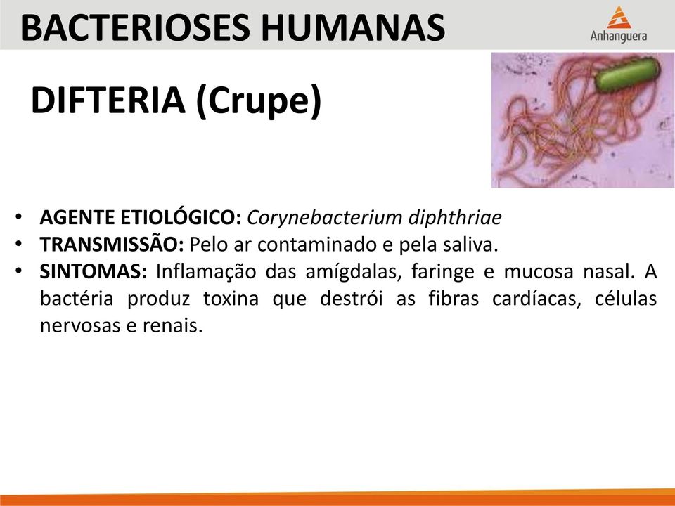 SINTOMAS: Inflamação das amígdalas, faringe e mucosa nasal.