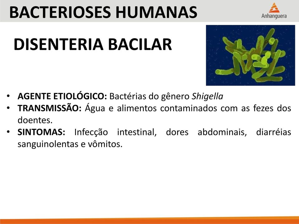 contaminados com as fezes dos doentes.