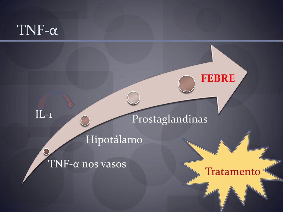 Hipotálamo TNF-α