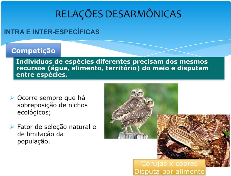 recursos (água, alimento, território) do meio e disputam entre espécies.