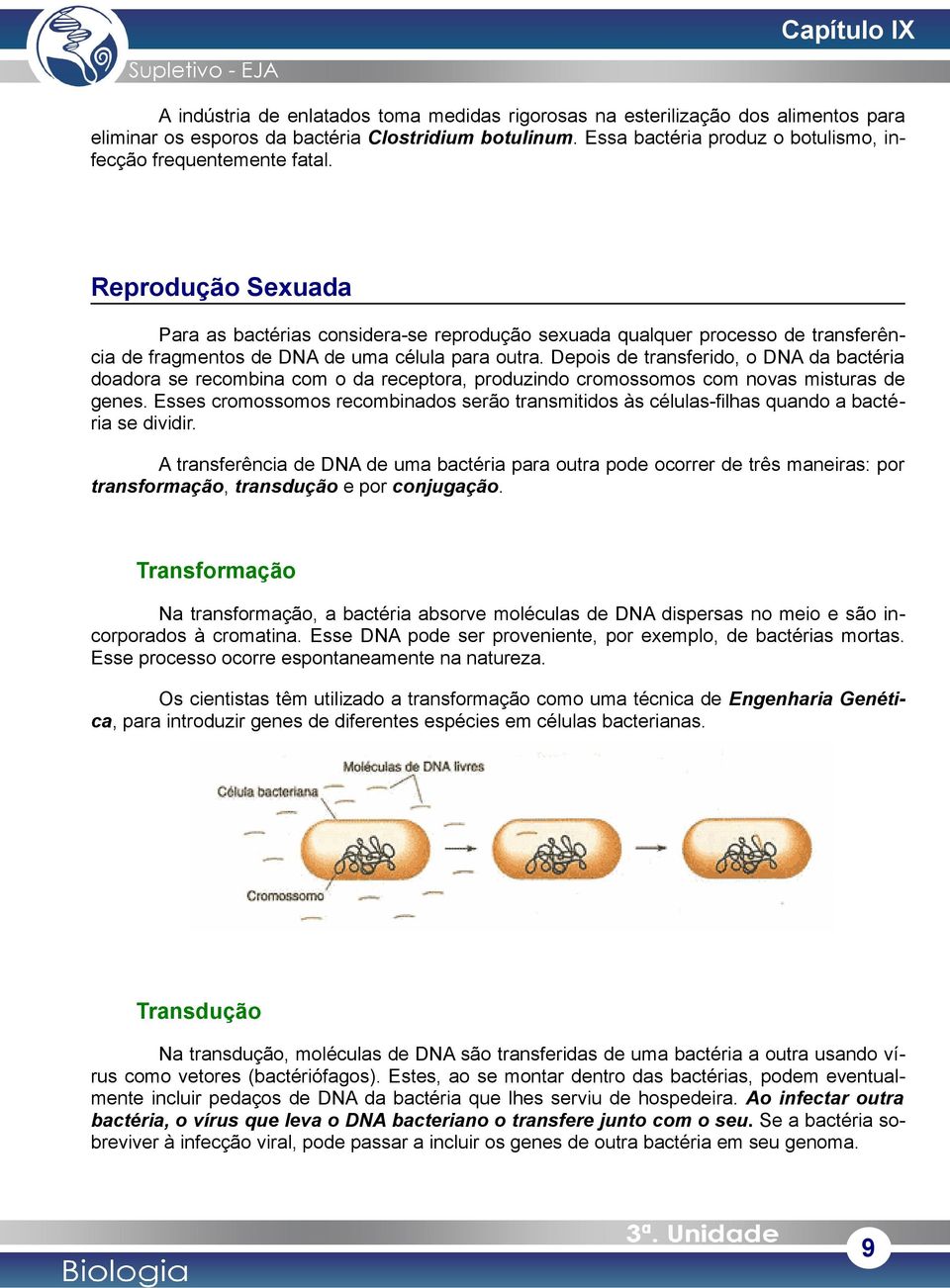 Reprodução Sexuada Para as bactérias considera-se reprodução sexuada qualquer processo de transferência de fragmentos de DNA de uma célula para outra.