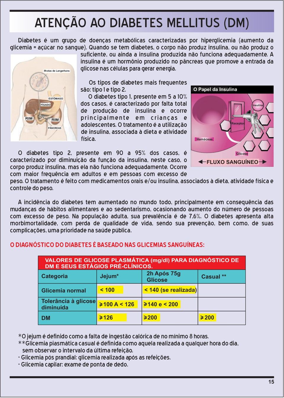 A insulina é um hormônio produzido no pâncreas que promove a entrada da Ilhotas de Langerhans glicose nas células para gerar energia.