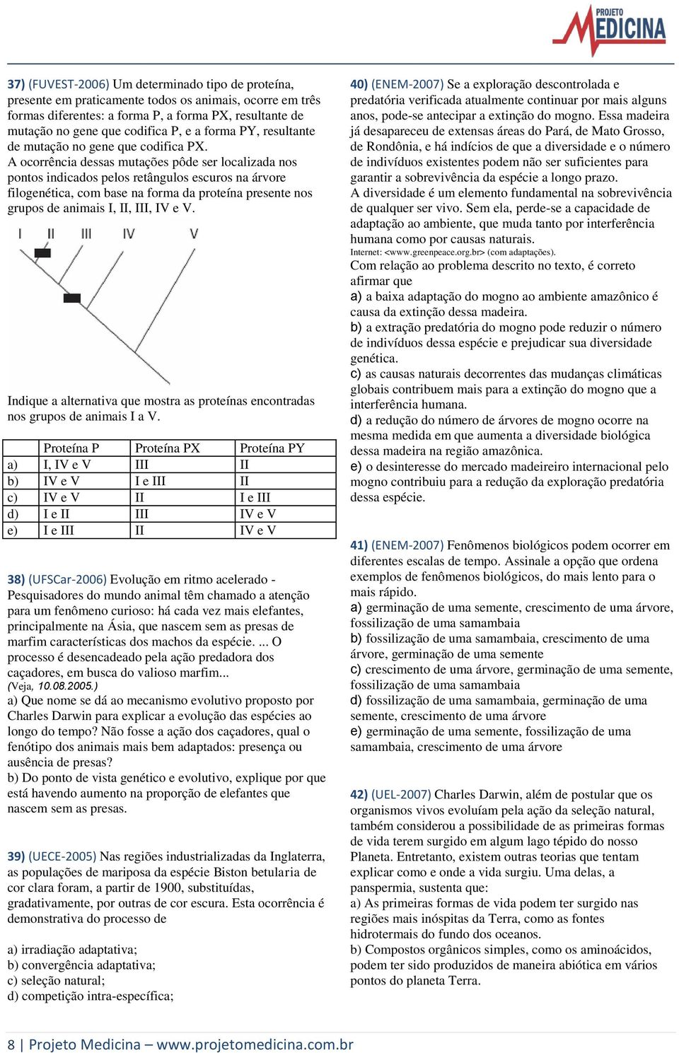 A ocorrência dessas mutações pôde ser localizada nos pontos indicados pelos retângulos escuros na árvore filogenética, com base na forma da proteína presente nos grupos de animais I, II, III, IV e V.