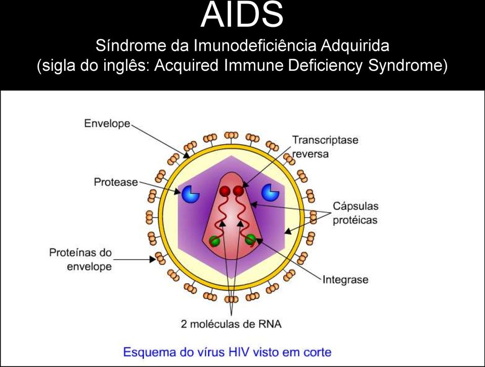 Acquired Immune Deficiency