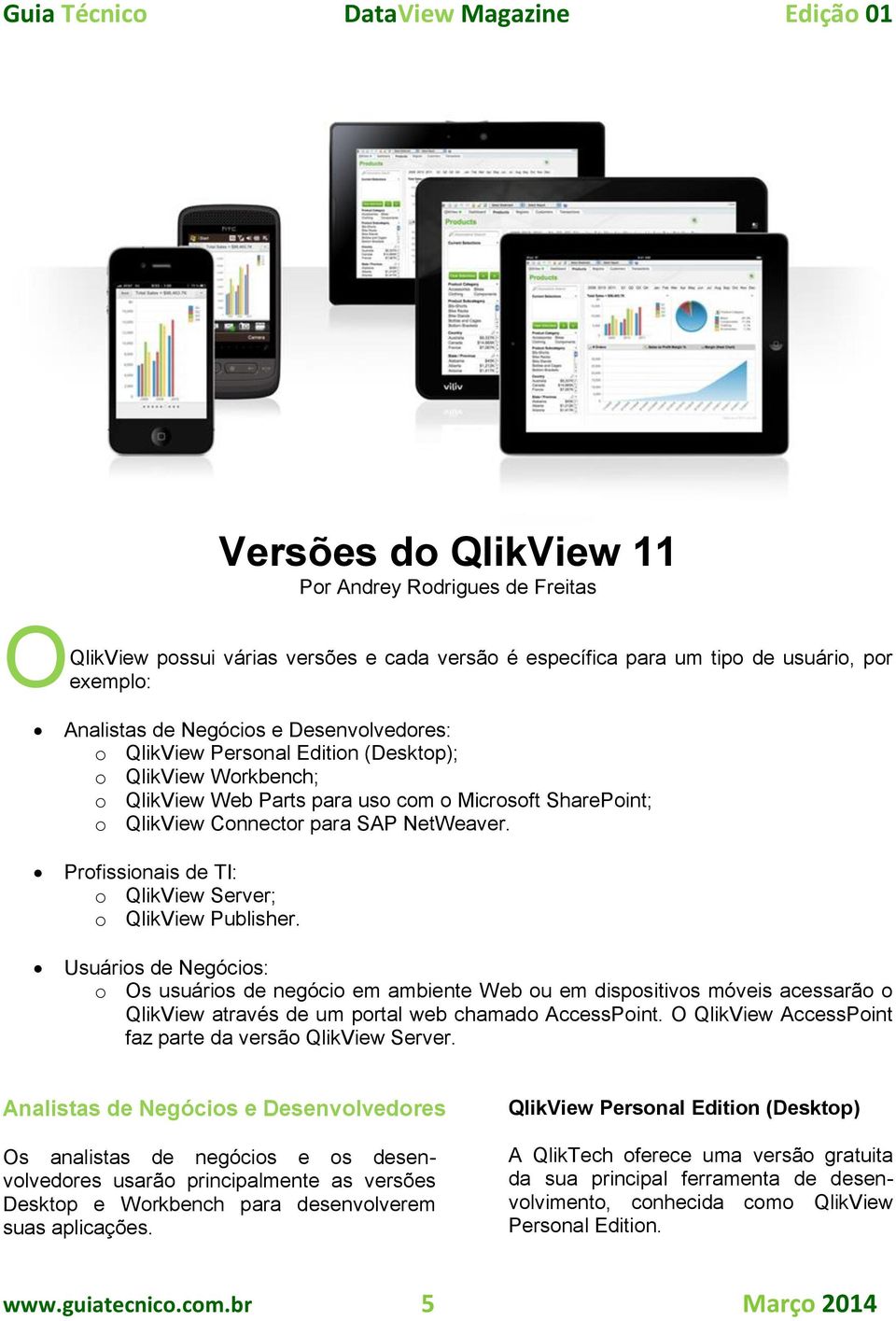 Profissionais de TI: o QlikView Server; o QlikView Publisher.