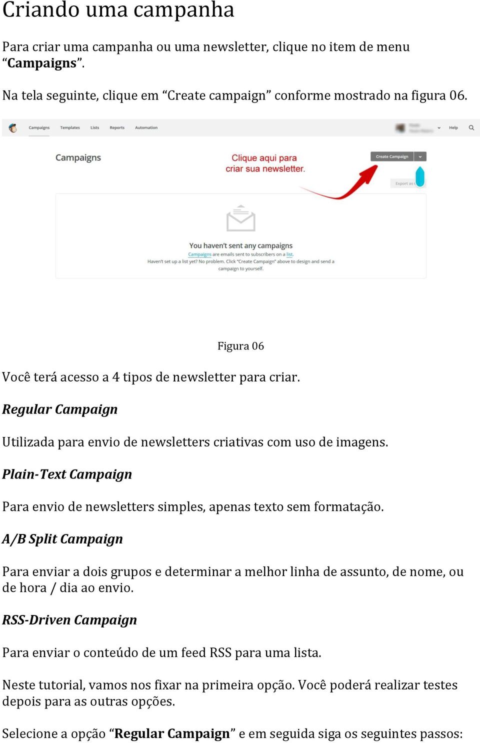 Plain-Text Campaign Para envio de newsletters simples, apenas texto sem formatação.