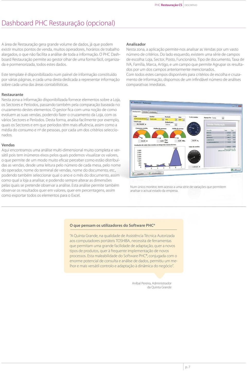 Este template é disponibilizado num painel de informação constituído por várias páginas, e cada uma desta dedicada a representar informação sobre cada uma das áreas contabilísticas.