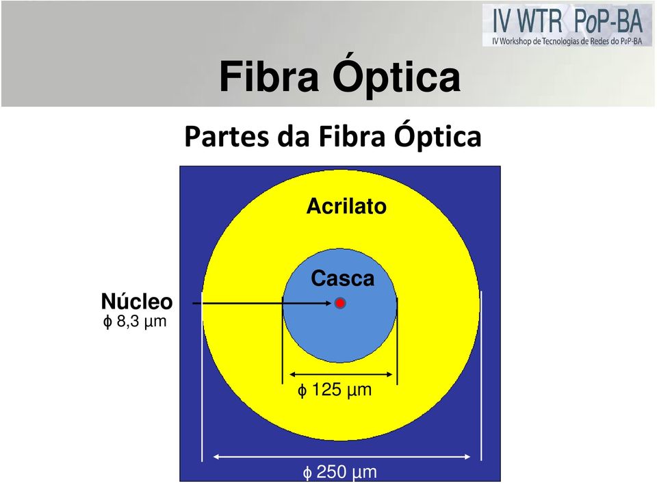 Acrilato Núcleo ɸ