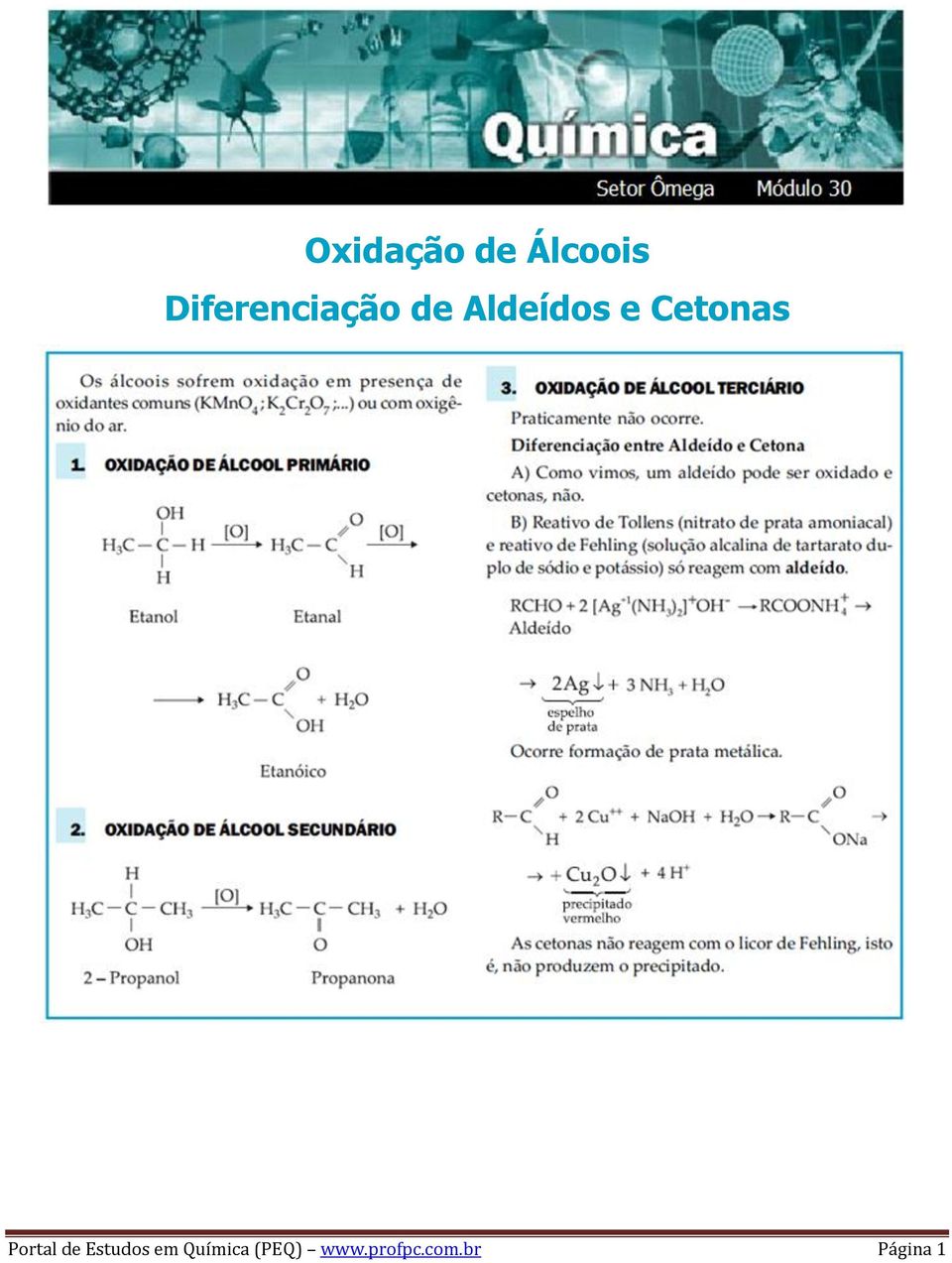 Cetonas Portal de Estudos em