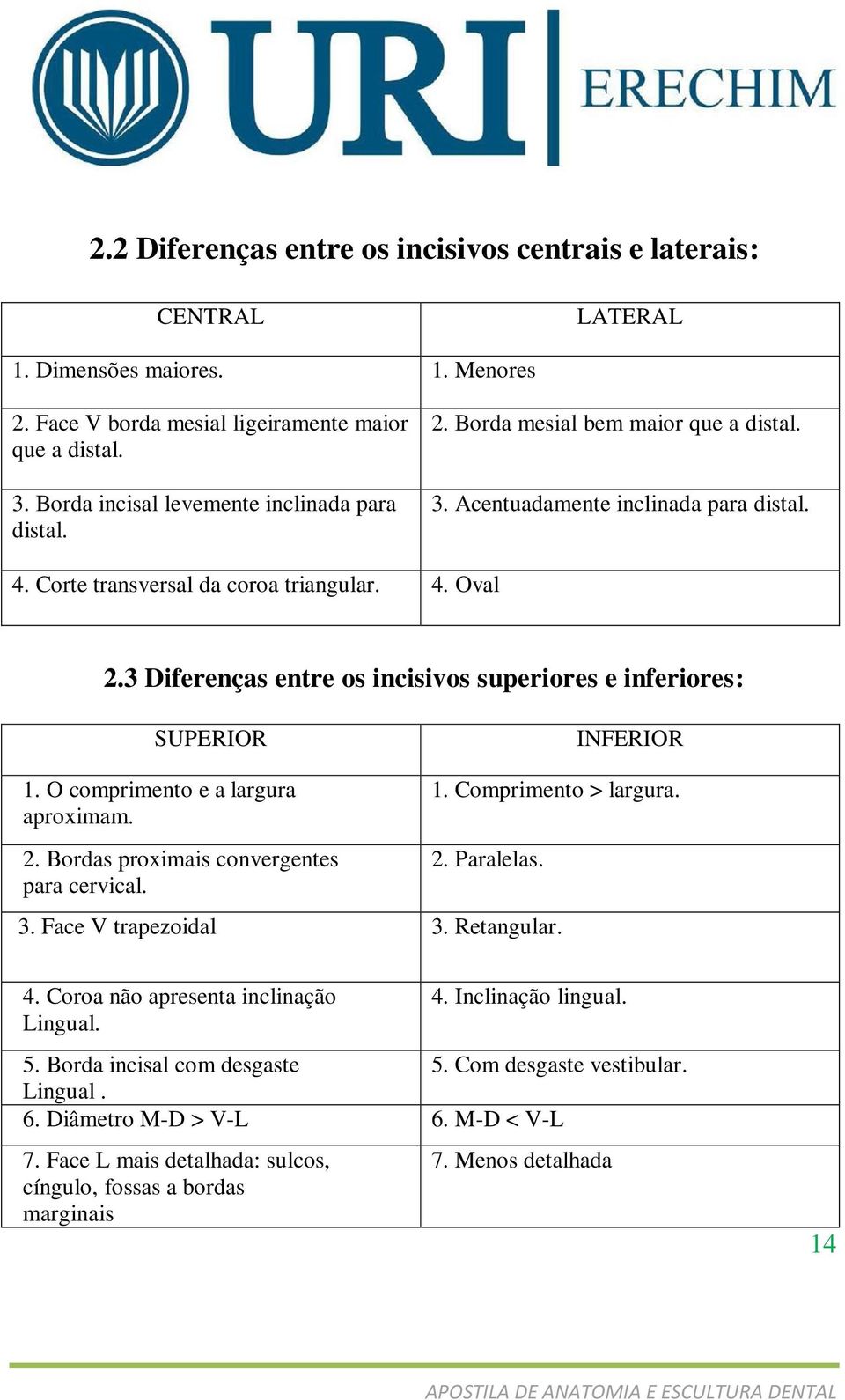 3 Diferenças entre os incisivos superiores e inferiores: SUPERIOR 1. O comprimento e a largura aproximam. INFERIOR 1. Comprimento > largura. 2. Bordas proximais convergentes para cervical. 2. Paralelas.