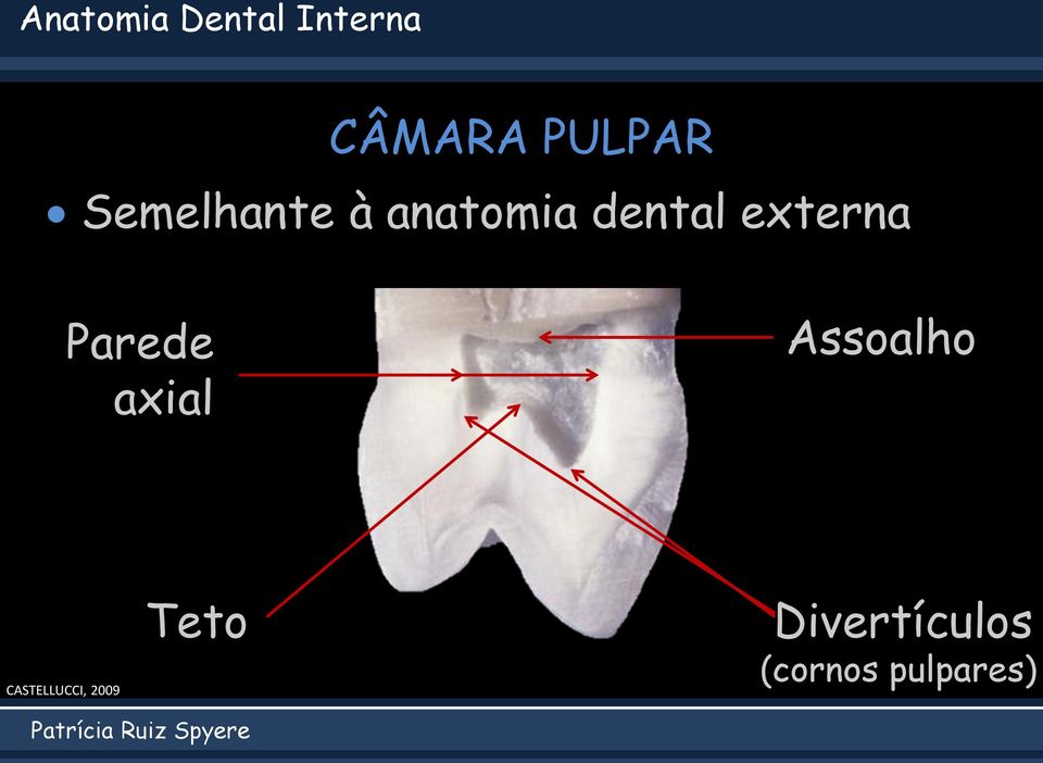 Parede axial Assoalho CASTELLUCCI,