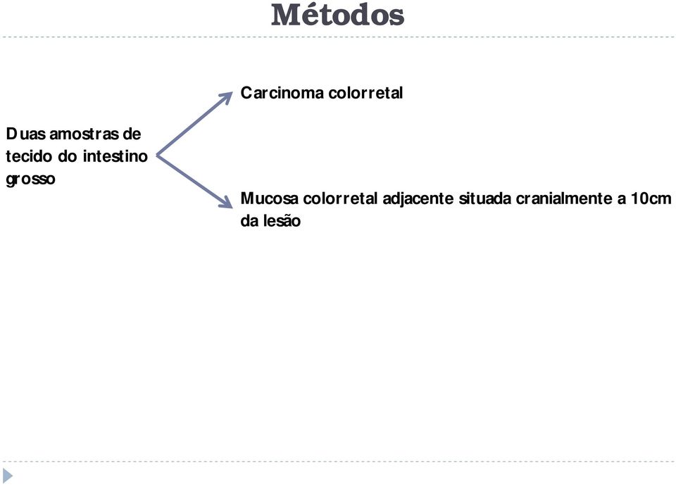 grosso Mucosa colorretal adjacente