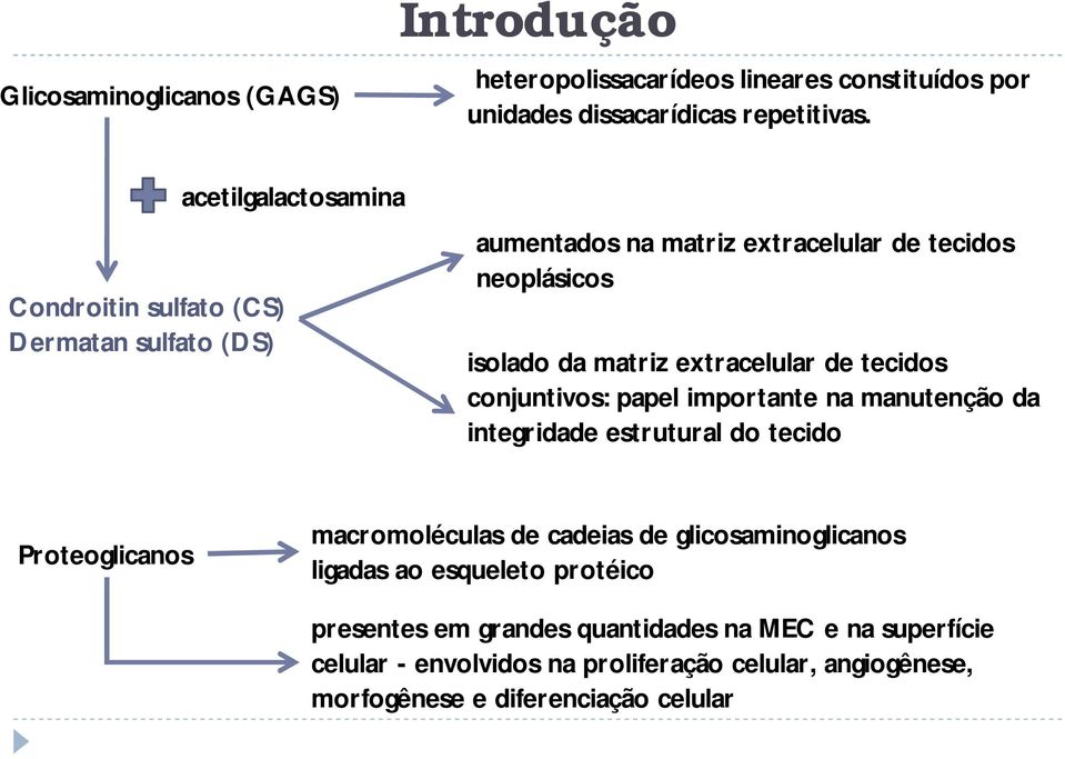 extracelular de tecidos conjuntivos: papel importante na manutenção da integridade estrutural do tecido Proteoglicanos macromoléculas de cadeias de