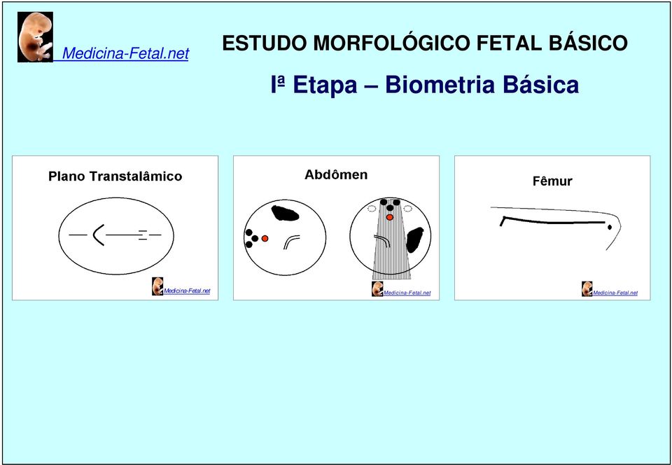 Medicina-Fetal.net Medicina-Fetal.