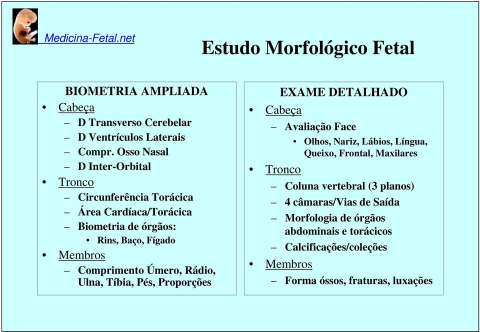 Comprimento Úmero, Rádio, Ulna, Tíbia, Pés, Proporções EXAME DETALHADO Cabeça Avaliação Face Olhos, Nariz, Lábios, Língua, Queixo,