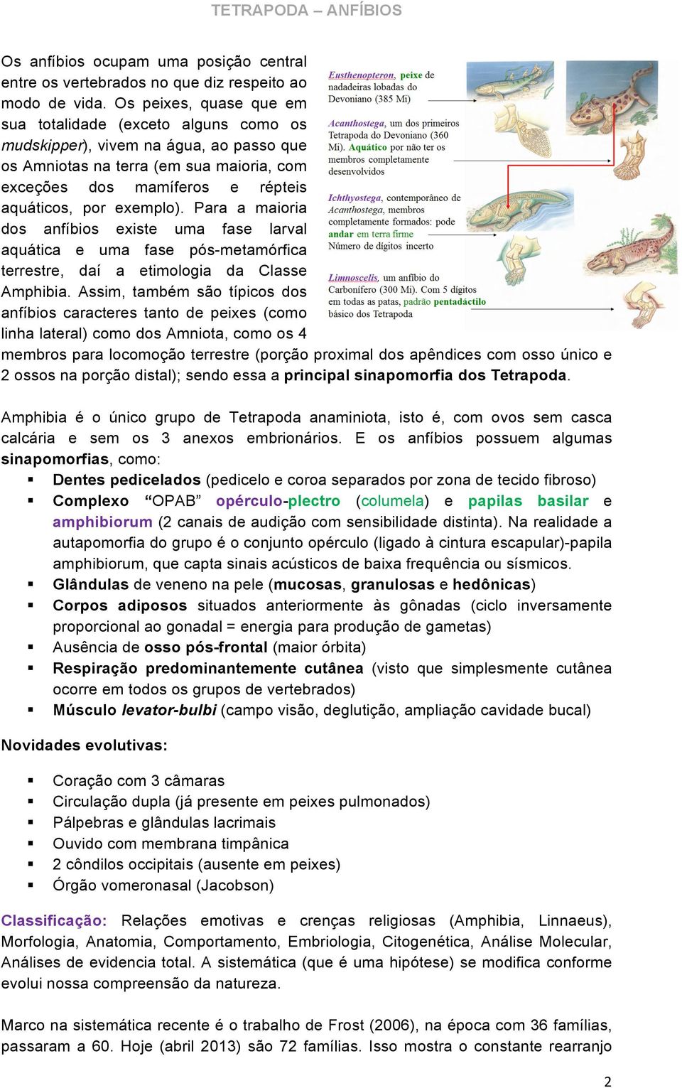 exemplo). Para a maioria dos anfíbios existe uma fase larval aquática e uma fase pós-metamórfica terrestre, daí a etimologia da Classe Amphibia.