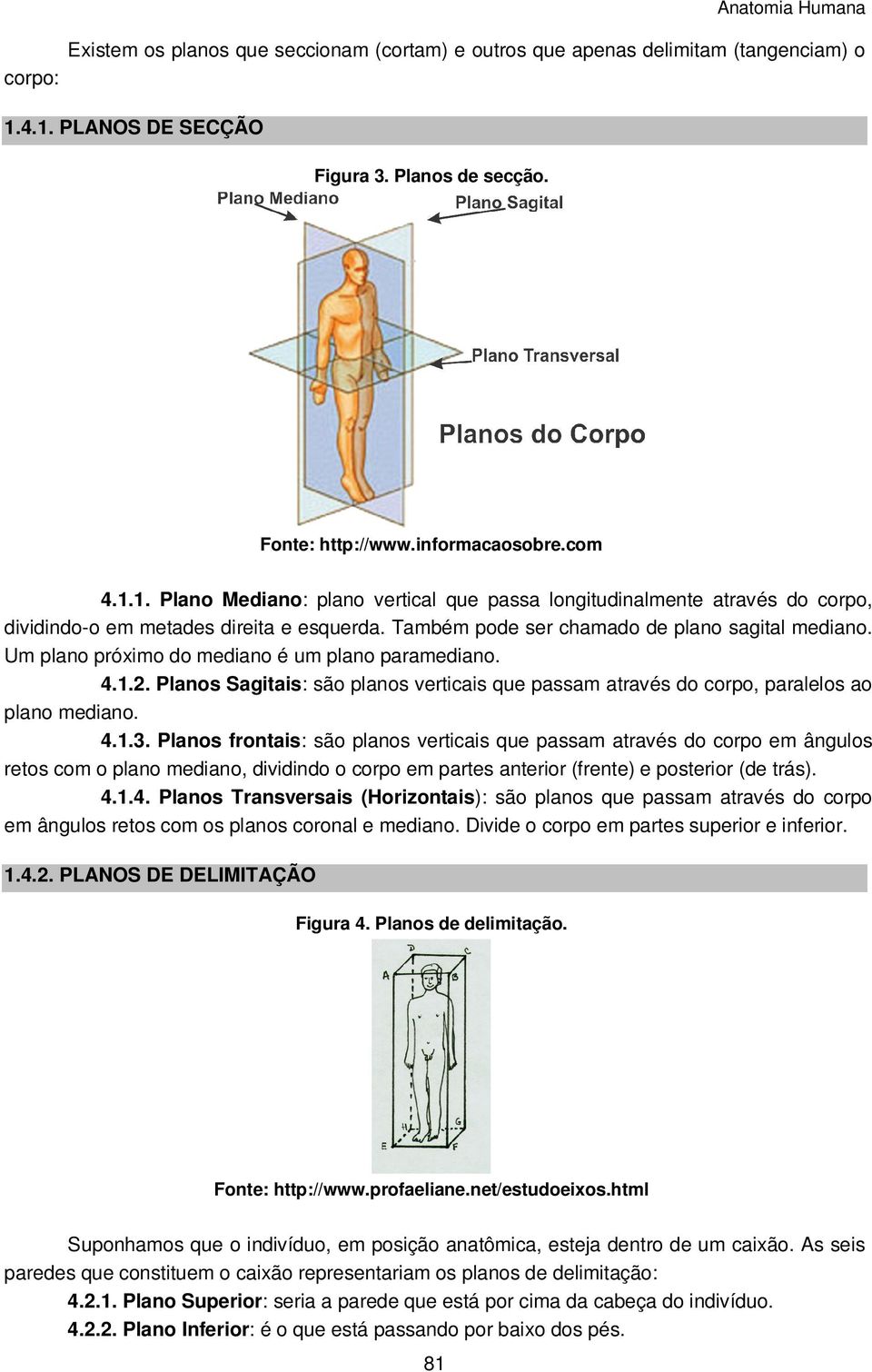 Também pode ser chamado de plano sagital mediano. Um plano próximo do mediano é um plano paramediano. 4.1.2.