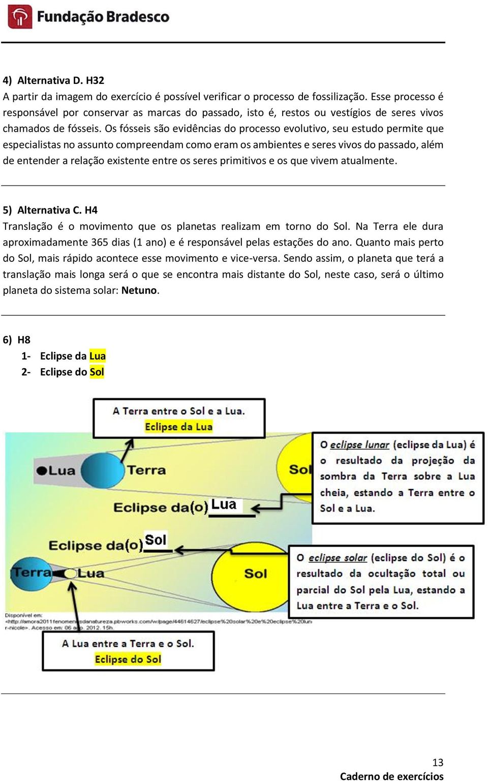 Os fósseis são evidências do processo evolutivo, seu estudo permite que especialistas no assunto compreendam como eram os ambientes e seres vivos do passado, além de entender a relação existente