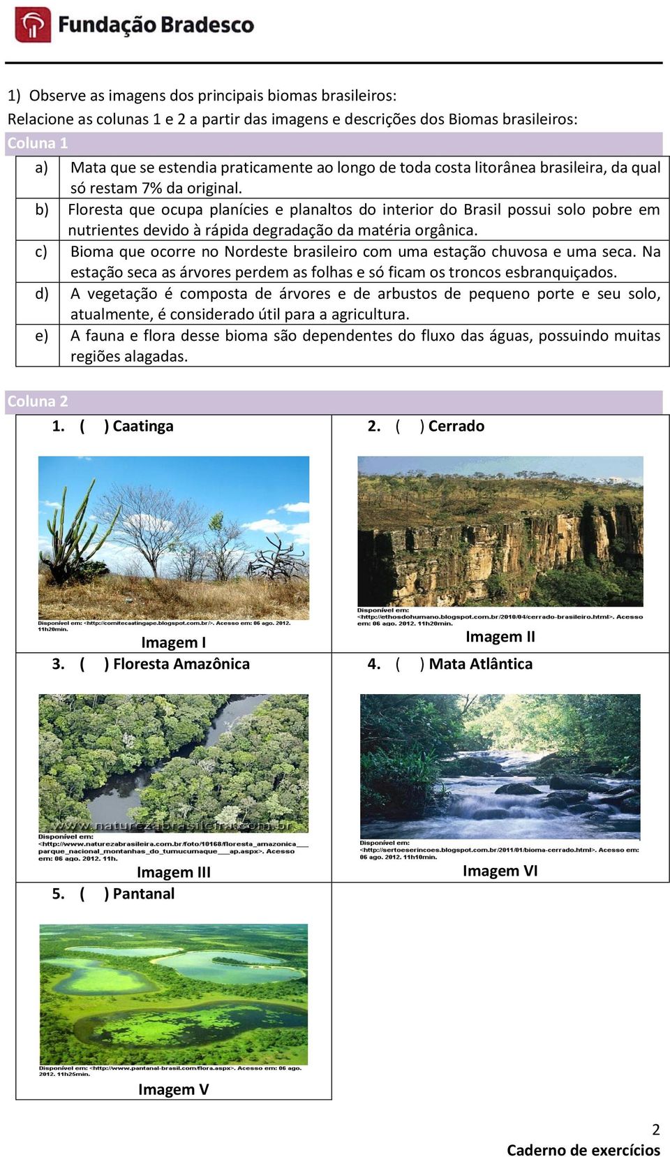 b) Floresta que ocupa planícies e planaltos do interior do Brasil possui solo pobre em nutrientes devido à rápida degradação da matéria orgânica.