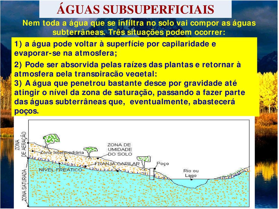 ser absorvida pelas raízes das plantas e retornar à atmosfera pela transpiração vegetal; 3) A água que penetrou