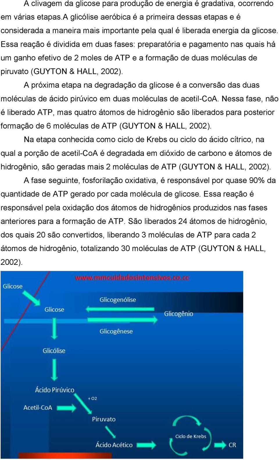 Essa reação é dividida em duas fases: preparatória e pagamento nas quais há um ganho efetivo de 2 moles de ATP e a formação de duas moléculas de piruvato (GUYTON & HALL, 2002).