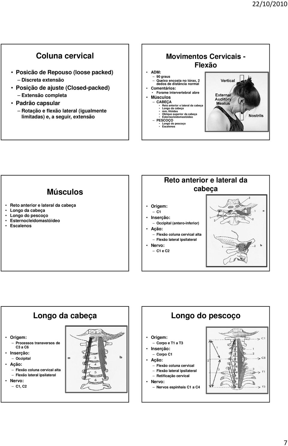 Longo da cabeça mm.