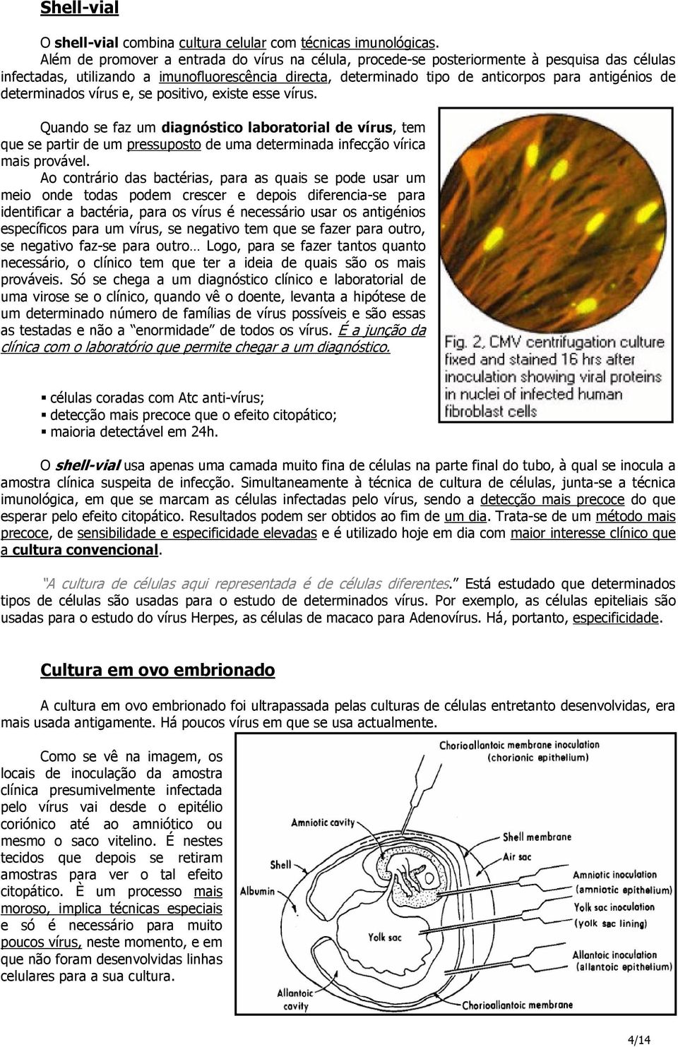 determinados vírus e, se positivo, existe esse vírus. Quando se faz um diagnóstico laboratorial de vírus, tem que se partir de um pressuposto de uma determinada infecção vírica mais provável.