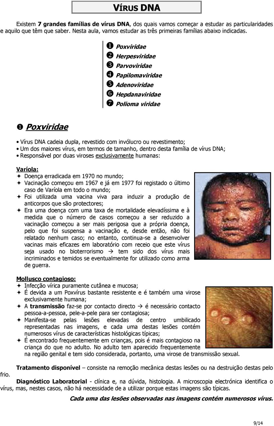 ❶ Poxviridae ❷ Herpesviridae ❸ Parvoviridae ❹ Papilomaviridae ❺ Adenoviridae ❻ Hepdanaviridae ❼ Polioma viridae ❶ Poxviridae Vírus DNA cadeia dupla, revestido com invólucro ou revestimento; Um dos