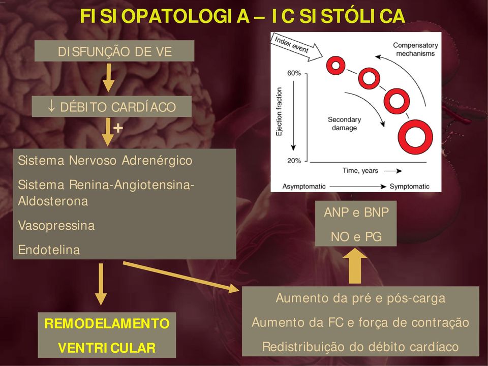 Endotelina ANP e BNP NO e PG Aumento da pré e pós-carga REMODELAMENTO