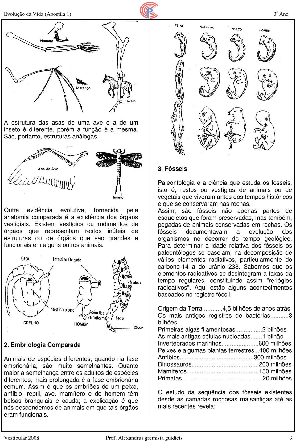 Existem vestígios ou rudimentos de órgãos que representam restos inúteis de estruturas ou de órgãos que são grandes e funcionais em alguns outros animais. 2.