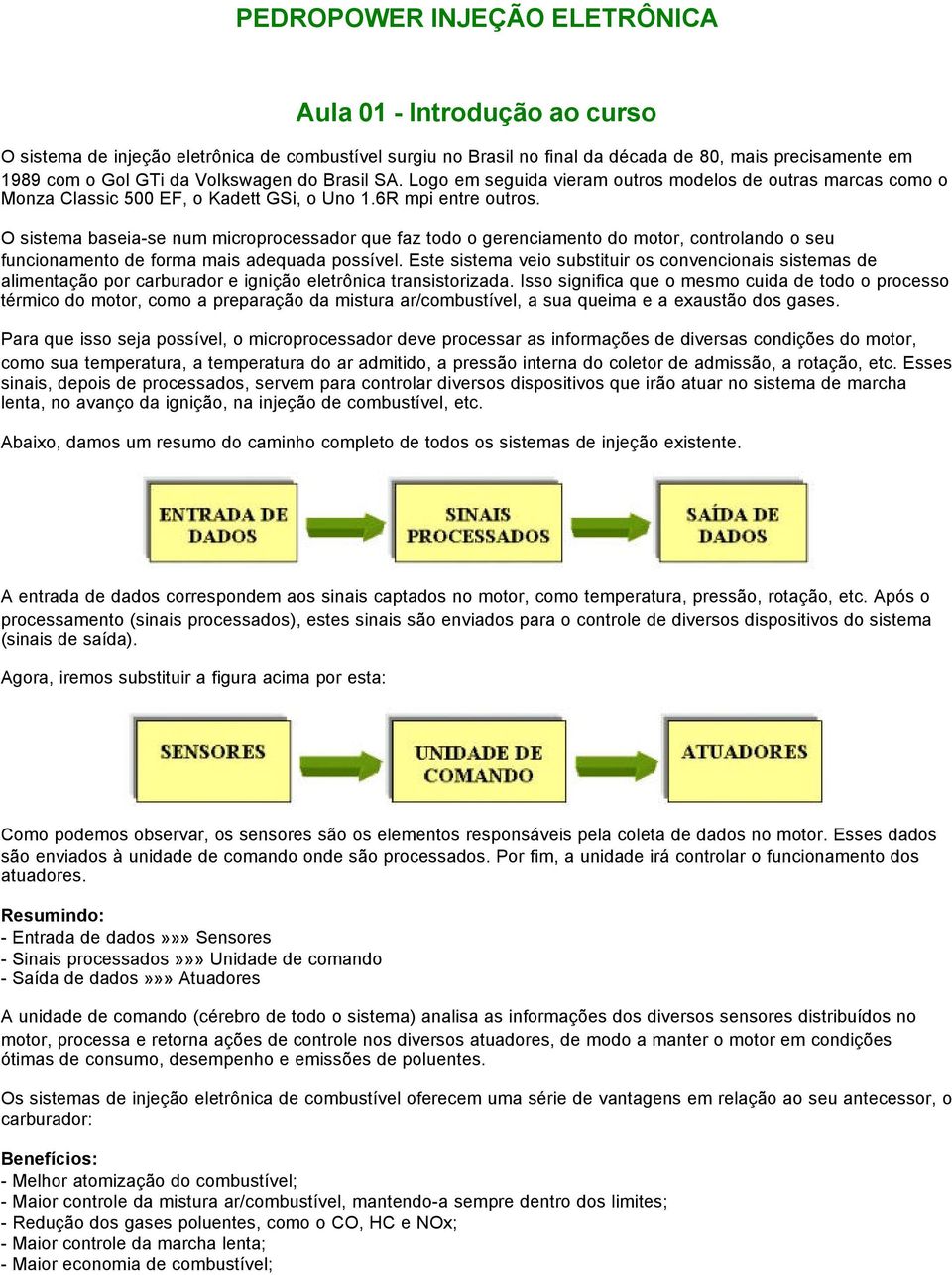 O sistema baseia-se num microprocessador que faz todo o gerenciamento do motor, controlando o seu funcionamento de forma mais adequada possível.