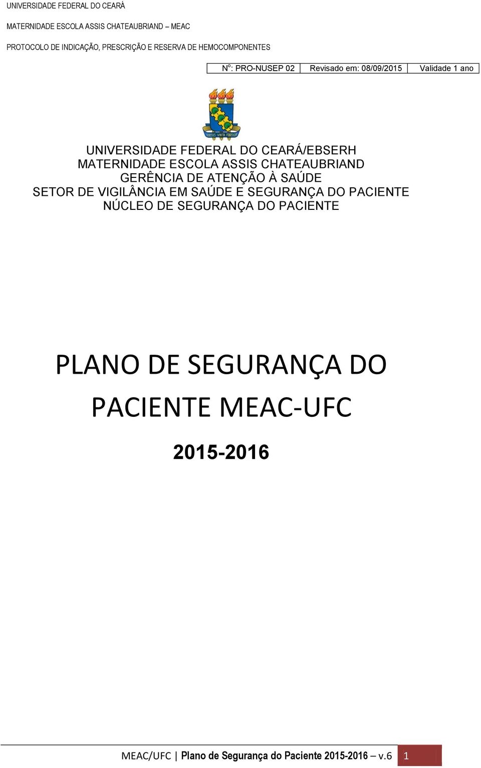 SEGURANÇA DO PACIENTE NÚCLEO DE SEGURANÇA DO PACIENTE PLANO DE SEGURANÇA