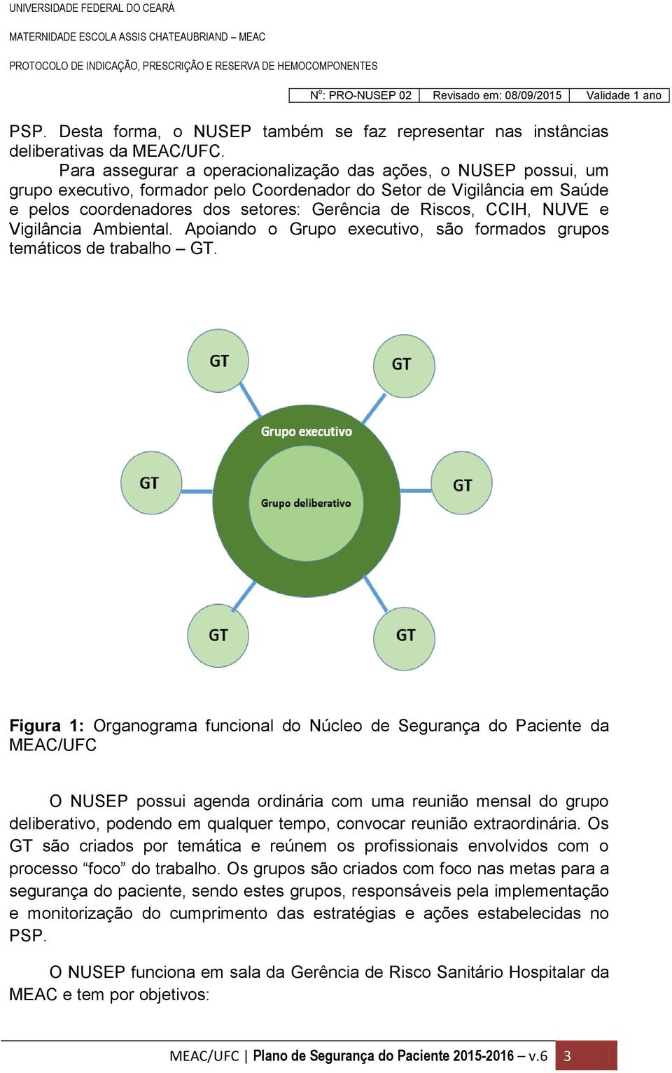 CCIH, NUVE e Vigilância Ambiental. Apoiando o Grupo executivo, são formados grupos temáticos de trabalho GT.