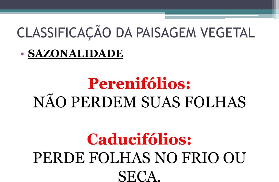 Perenifólios: NÃO PERDEM SUAS