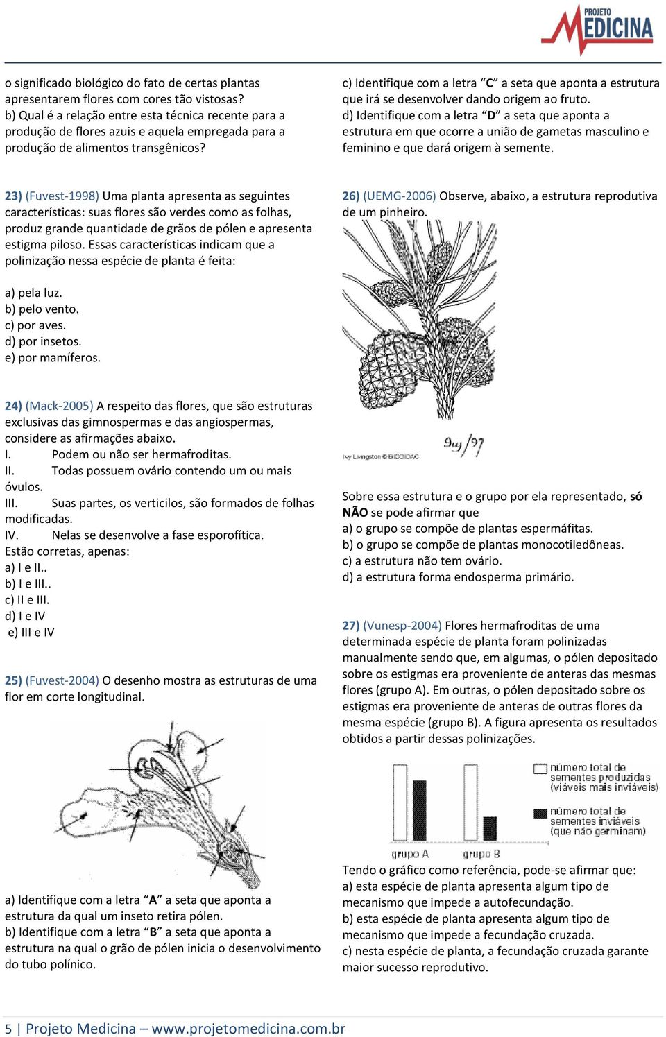 c) Identifique com a letra C a seta que aponta a estrutura que irá se desenvolver dando origem ao fruto.