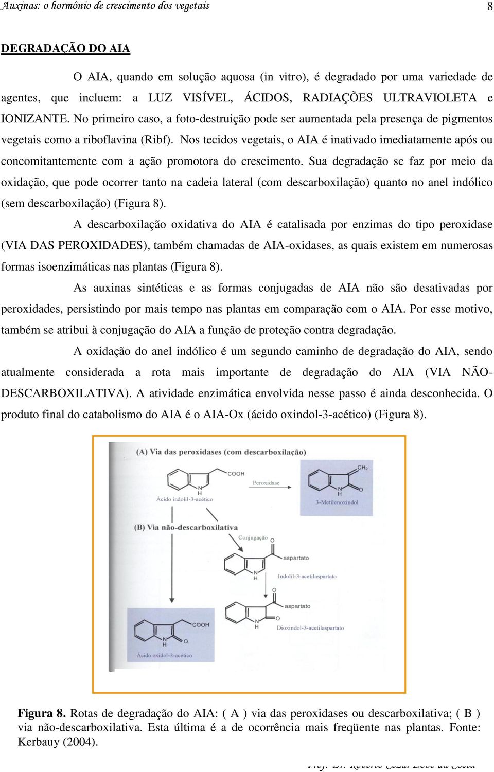 Nos tecidos vegetais, o AIA é inativado imediatamente após ou concomitantemente com a ação promotora do crescimento.