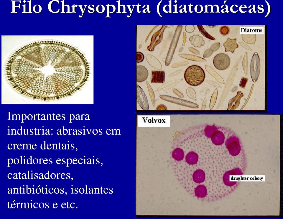 creme dentais, polidores especiais,