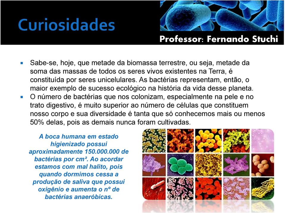 O número de bactérias que nos colonizam, especialmente na pele e no trato digestivo, é muito superior ao número de células que constituem nosso corpo e sua diversidade é tanta que só