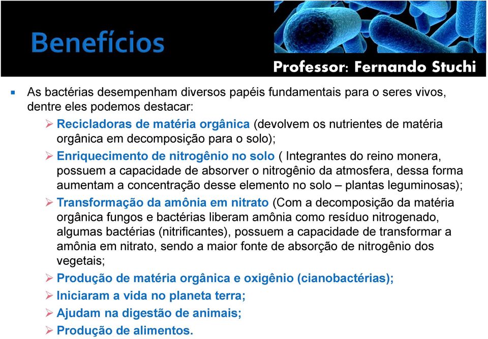 solo plantas leguminosas); Transformação da amônia em nitrato (Com a decomposição da matéria orgânica fungos e bactérias liberam amônia como resíduo nitrogenado, algumas bactérias (nitrificantes),