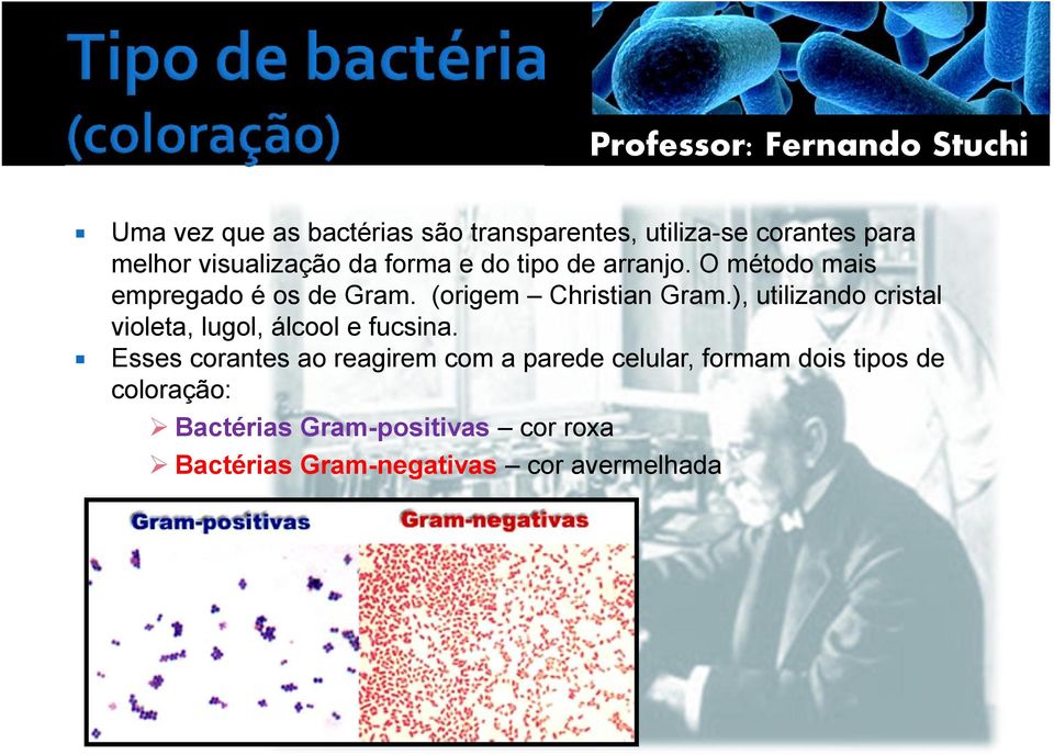 ), utilizando cristal violeta, lugol, álcool e fucsina.