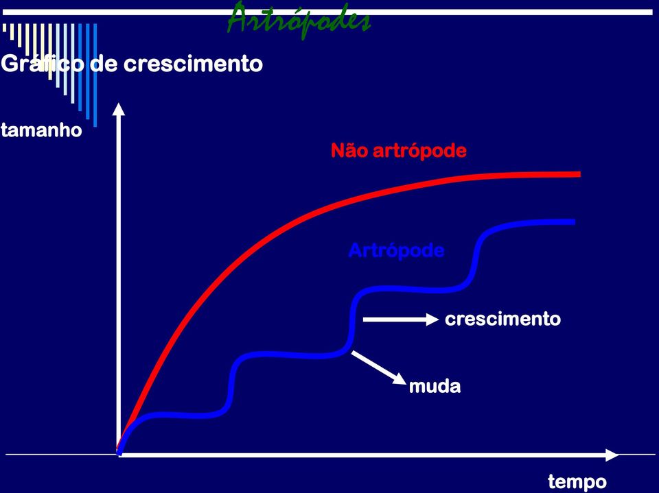 Artrópodes tamanho