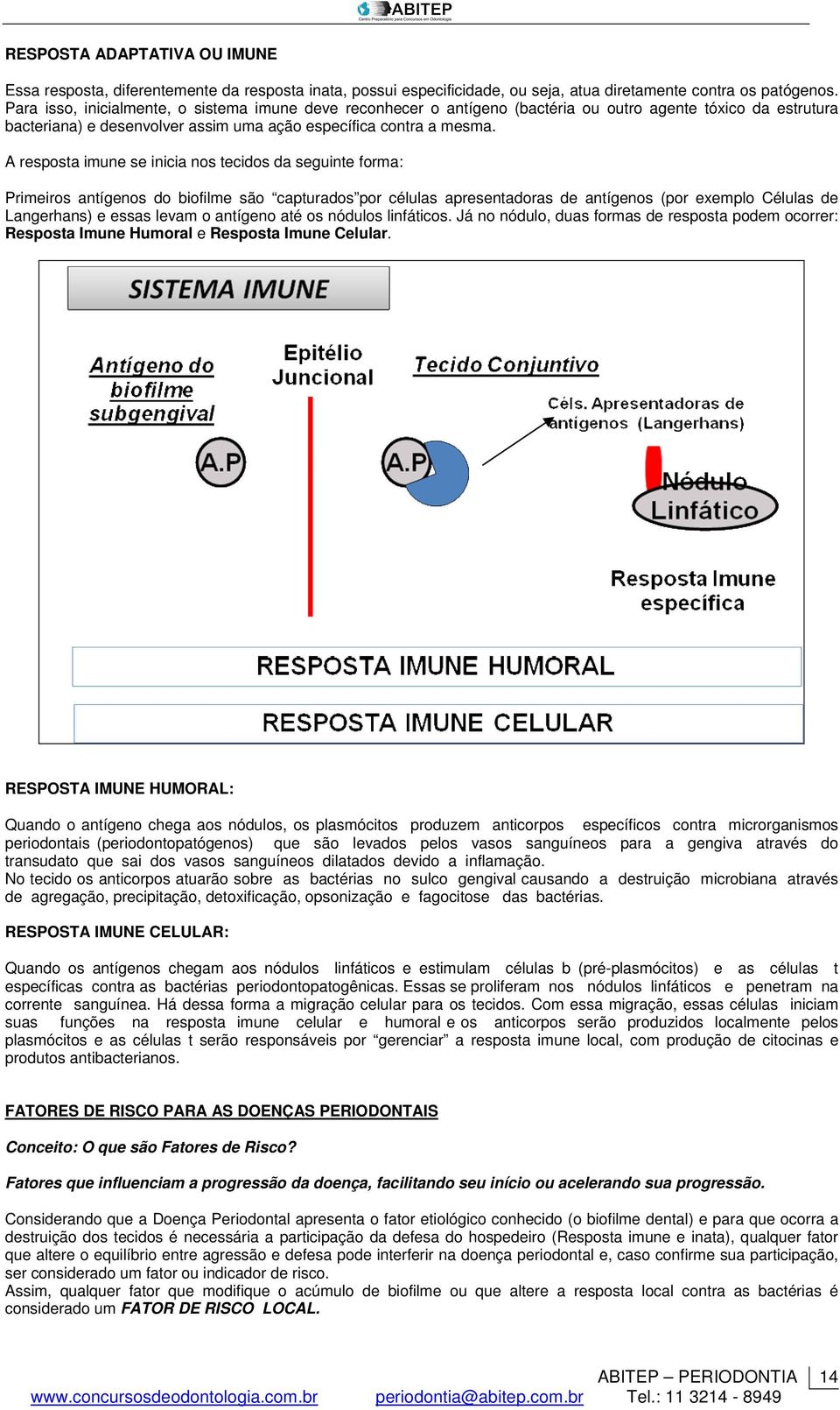 A resposta imune se inicia nos tecidos da seguinte forma: Primeiros antígenos do biofilme são capturados por células apresentadoras de antígenos (por exemplo Células de Langerhans) e essas levam o