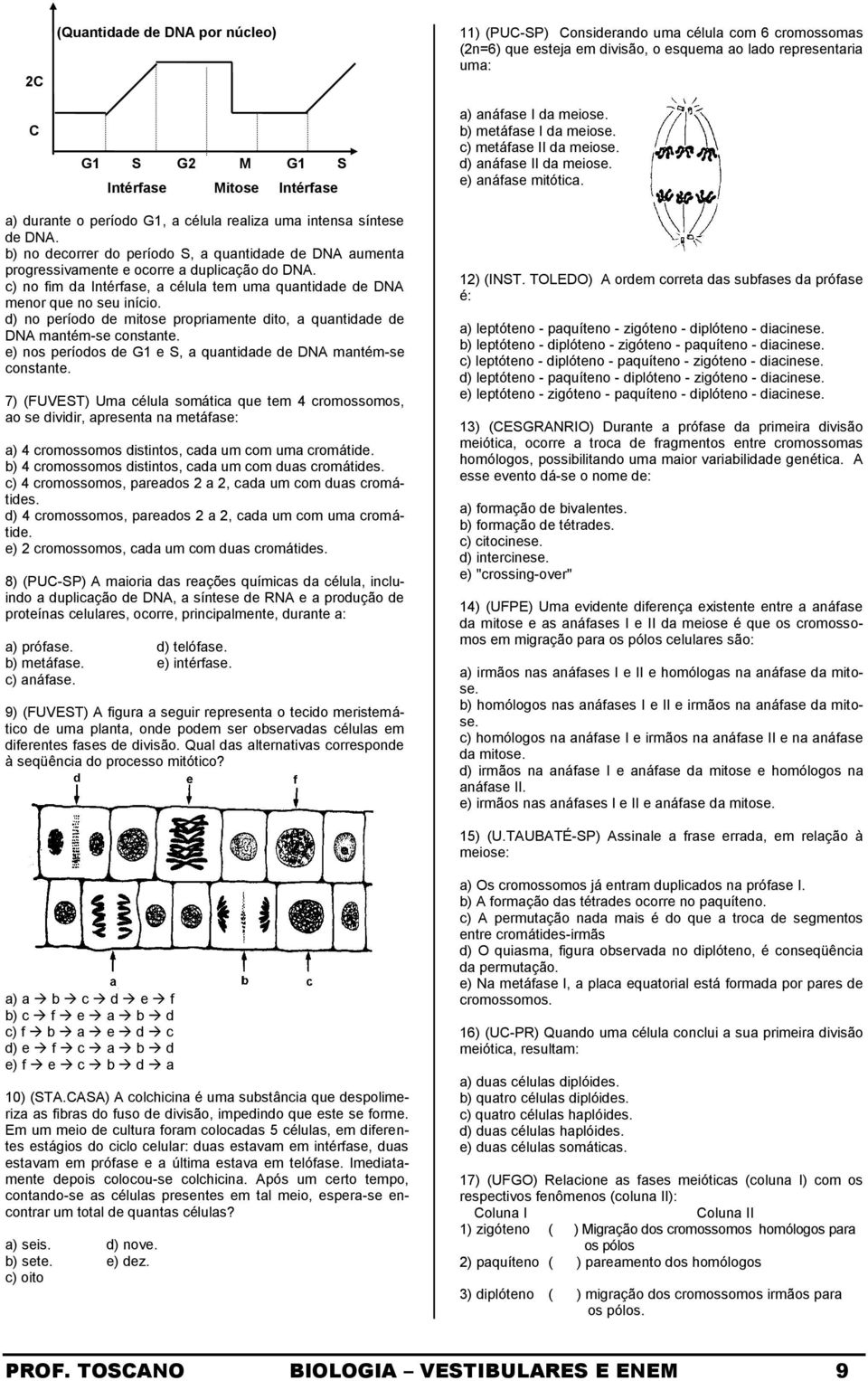 b) no decorrer do período S, a quantidade de DNA aumenta progressivamente e ocorre a duplicação do DNA. c) no fim da Intérfase, a célula tem uma quantidade de DNA menor que no seu início.