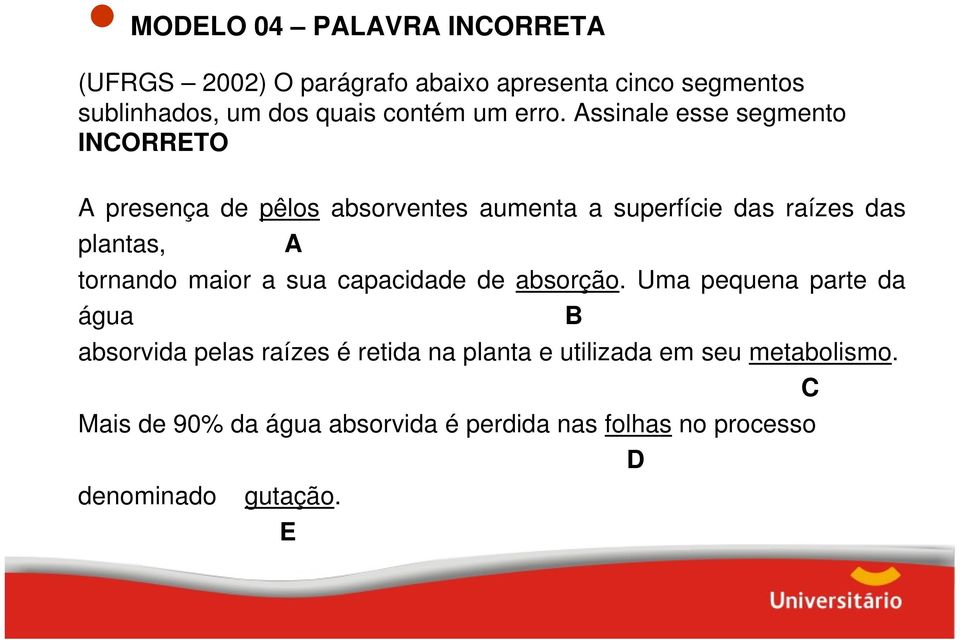 Assinale esse segmento INCORRETO A presença de pêlos absorventes aumenta a superfície das raízes das plantas, A