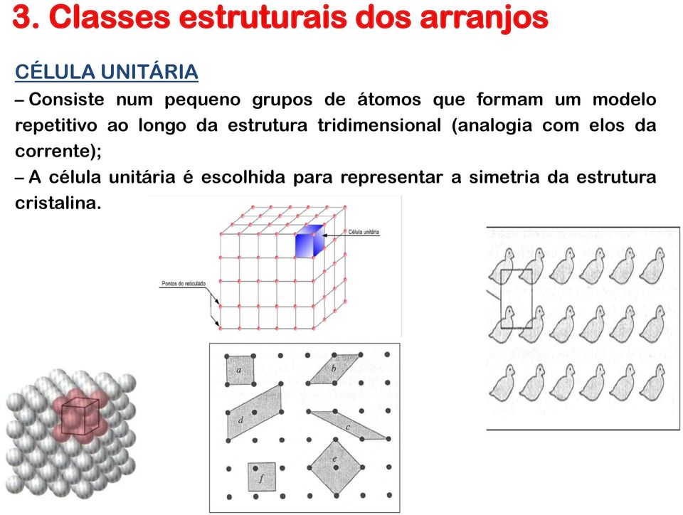 estrutura tridimensional (analogia com elos da corrente); A célula