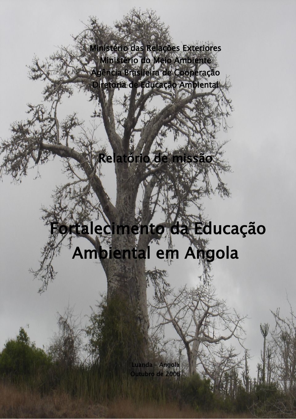 Educação Ambiental Relatório de missão Fortalecimento da