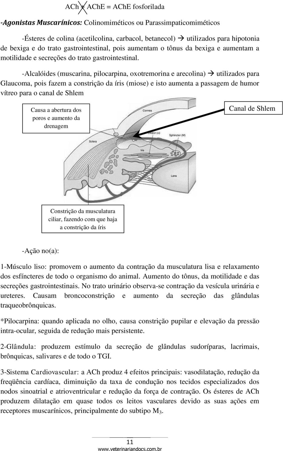 -Alcalóides (muscarina, pilocarpina, oxotremorina e arecolina) utilizados para Glaucoma, pois fazem a constrição da íris (miose) e isto aumenta a passagem de humor vítreo para o canal de Shlem Causa