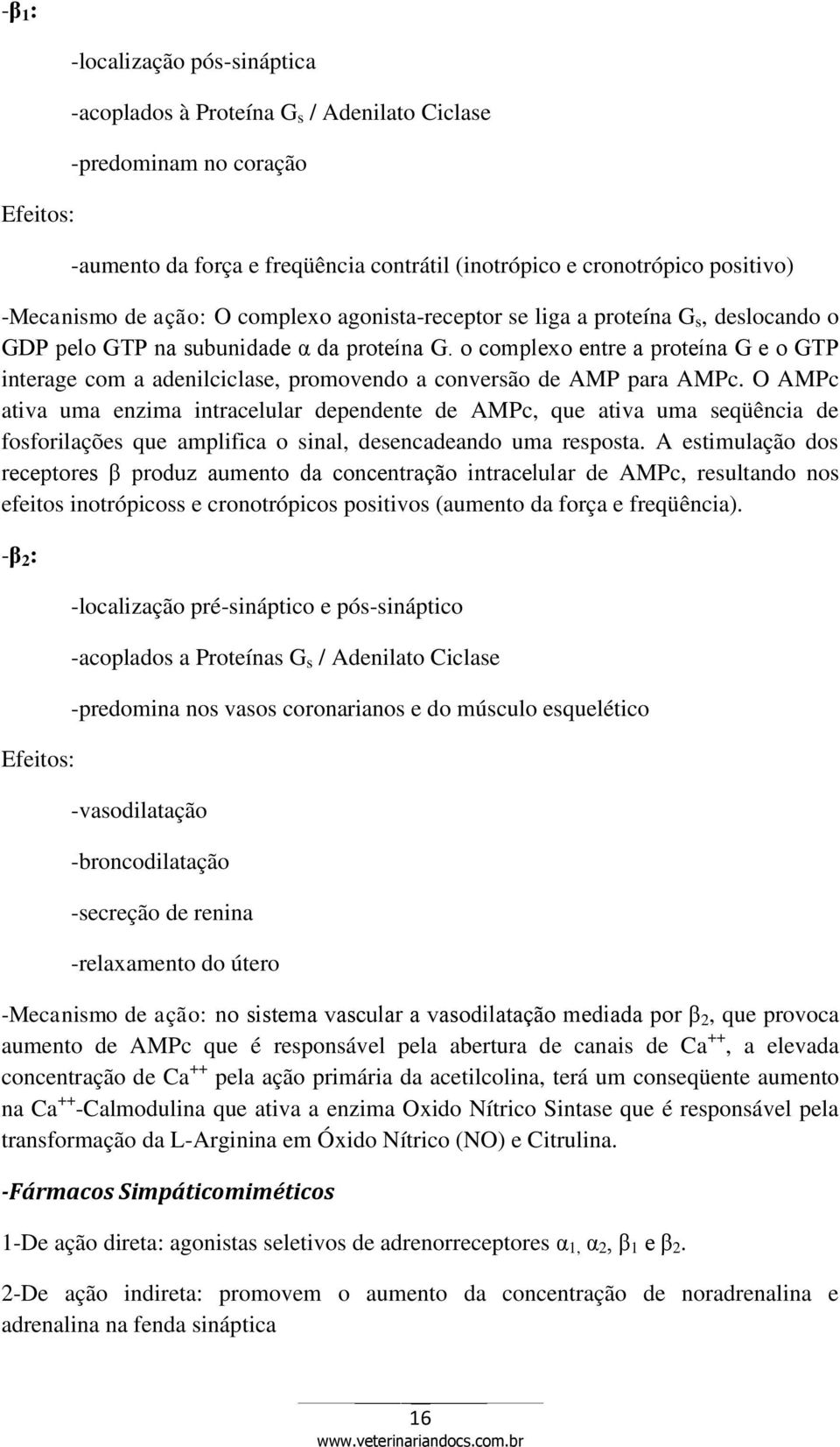 o complexo entre a proteína G e o GTP interage com a adenilciclase, promovendo a conversão de AMP para AMPc.